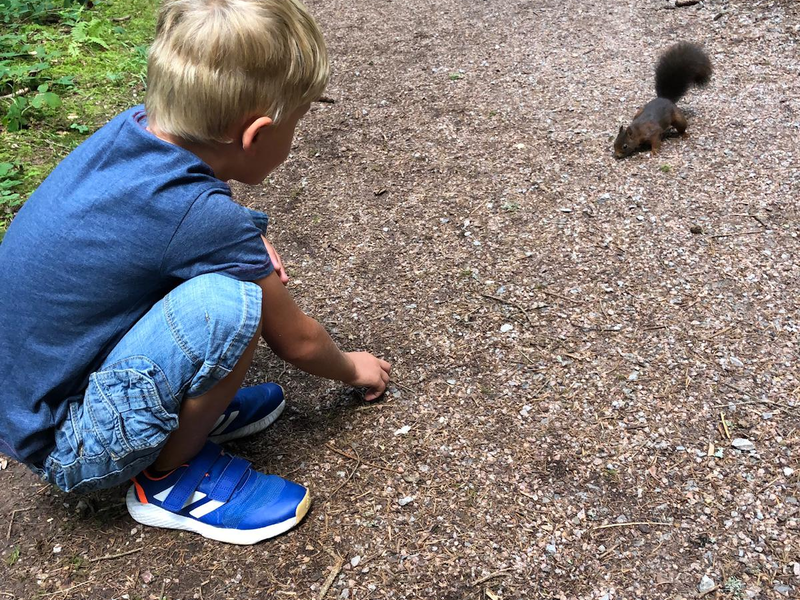 Ein Junge in blauer Kleidung hockt auf einem Waldweg und betrachtet ein nahes Eichhörnchen, während im Hintergrund ein weiteres Kind sitzt.