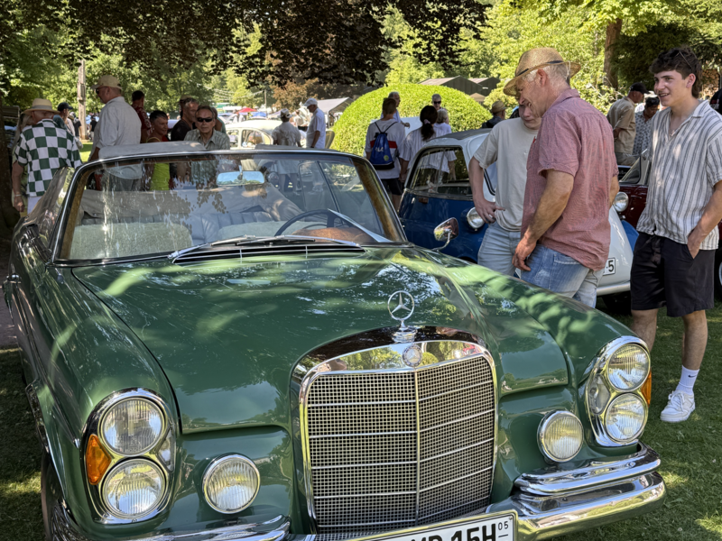 Ein grünes, klassisches Cabrio steht auf einer Wiese, umgeben von Menschen, die sich das Auto anschauen.