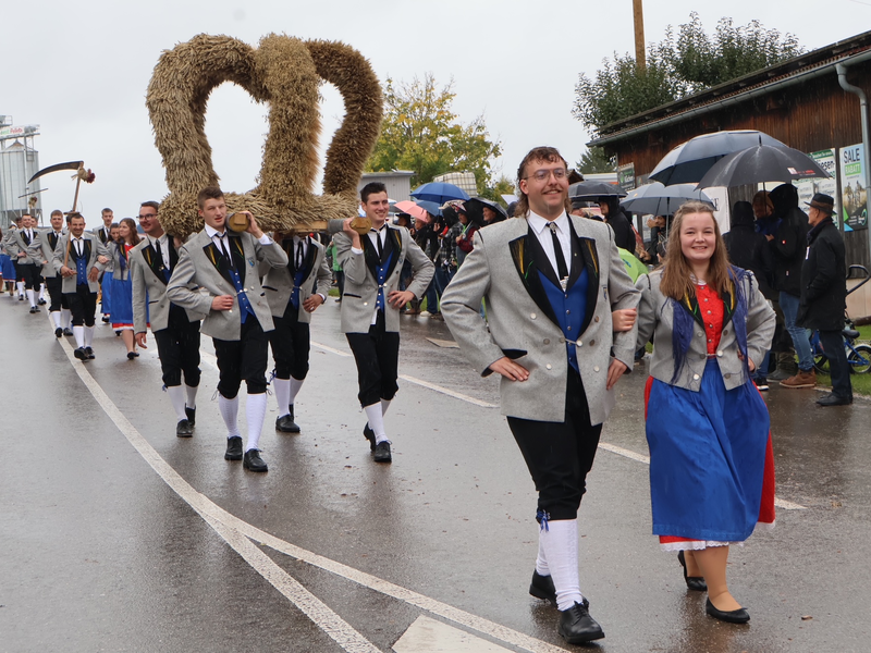 Eine fröhliche Gruppe von Menschen in traditioneller Kleidung marschiert bei einem Umzug auf einer nassen Straße und trägt eine große Strohbremse.