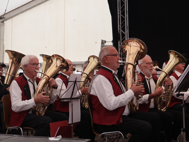 Eine Gruppe älterer Männer spielt in einer Blaskapelle Tubas und trägt einheitliche, elegante Westen.