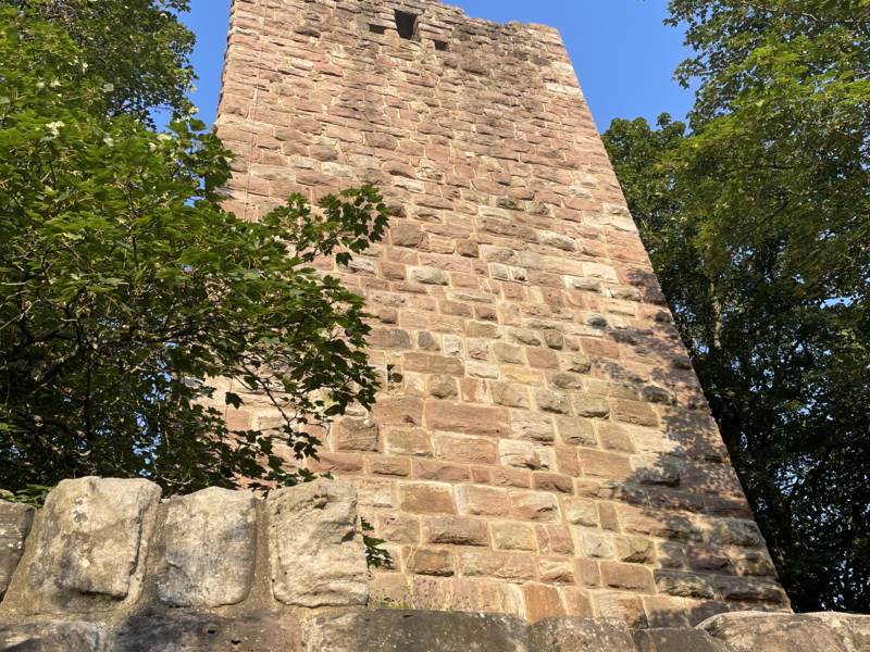 Ein Turm einer Ruine umgeben von Bäumen und blauem Himmel.