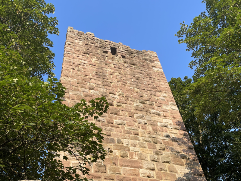 Ein Turm einer Ruine umgeben von Bäumen und blauem Himmel.
