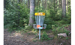 Ein Discgolf-Korb steht in einem waldigen Gebiet bei Tageslicht.